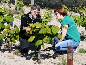 De Sète à Gruissan, comment la collection de Vassal doit relever le défi d’un déménagement historique