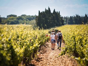 Œnotourisme (2/3) : Pourquoi « il faut mettre en scène une expérience et créer un attachement au vin »