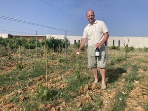 Quand un vigneron de Fontès propose d’adopter des pieds de vigne