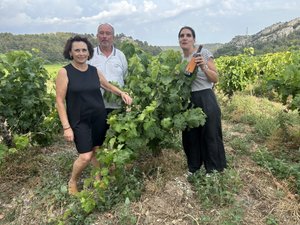 L’avenir du vin « passe par des marques repère » estime le directeur-général du groupe Cordier