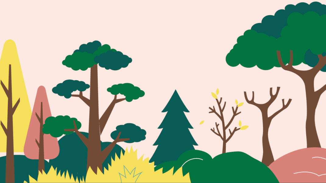 Infographies sur la santé des forêts