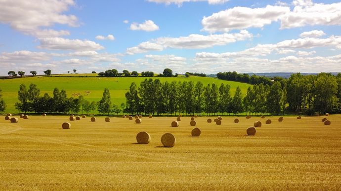 Moisson et récoltes d’automne : quelles sont les tendances météo à 4 mois ?