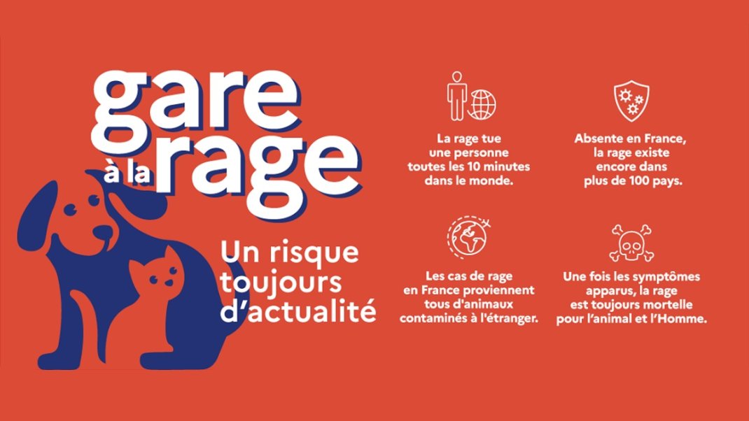 Infographie – La rage, un risque toujours d’actualité