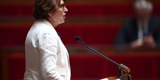 La loi Duplomb sur l’agriculture, définitivement adoptée à l’issue d’un parcours chaotique, ne fait pas le plein des voix dans la majorité