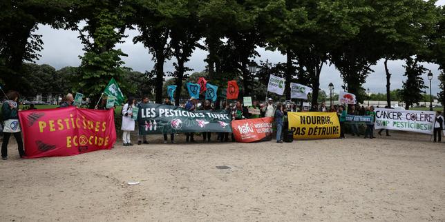 Loi Duplomb : l’ordre des médecins prend position contre, estimant que les « alertes ne peuvent être ignorées »