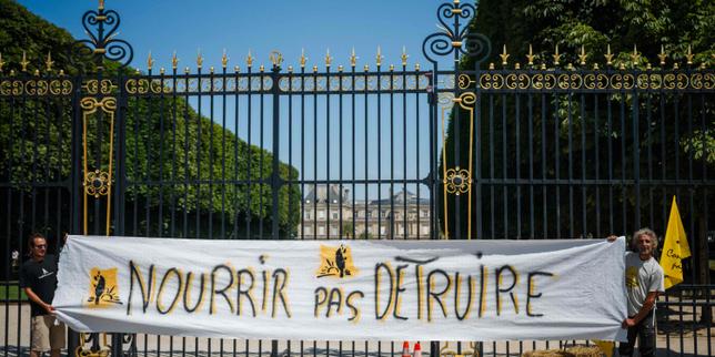 Agriculture : « La proposition de loi Duplomb favorise les plus puissants et oublie les plus modestes »