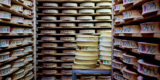 En Haute-Savoie, le combat des producteurs d’abondance : « Nous sommes aux premières loges des changements climatiques »