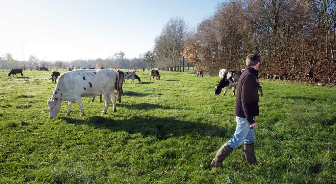 Les chiffres clés de la Haute Valeur Environnementale