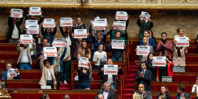Loi Duplomb : le Conseil constitutionnel rendra « a priori » sa décision le 7 août