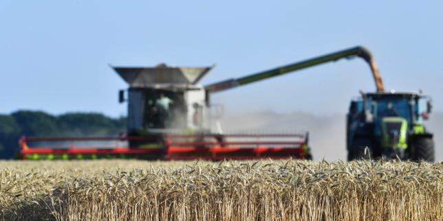 Une belle moisson de blé attendue cet été en France