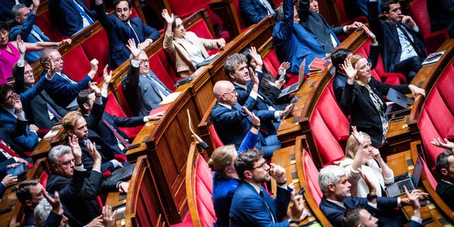 Loi Duplomb sur l’agriculture : des députés de gauche saisissent le Conseil constitutionnel pour censurer le texte