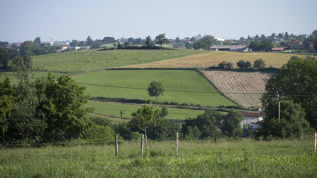 Protection des cultures : un nouvel appel à projets, doté de 45 millions d’euros, confié à FranceAgriMer dans le cadre du PARSADA