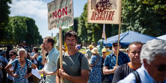 Loi Duplomb sur l’agriculture : députés et sénateurs actent de nombreux reculs écologiques