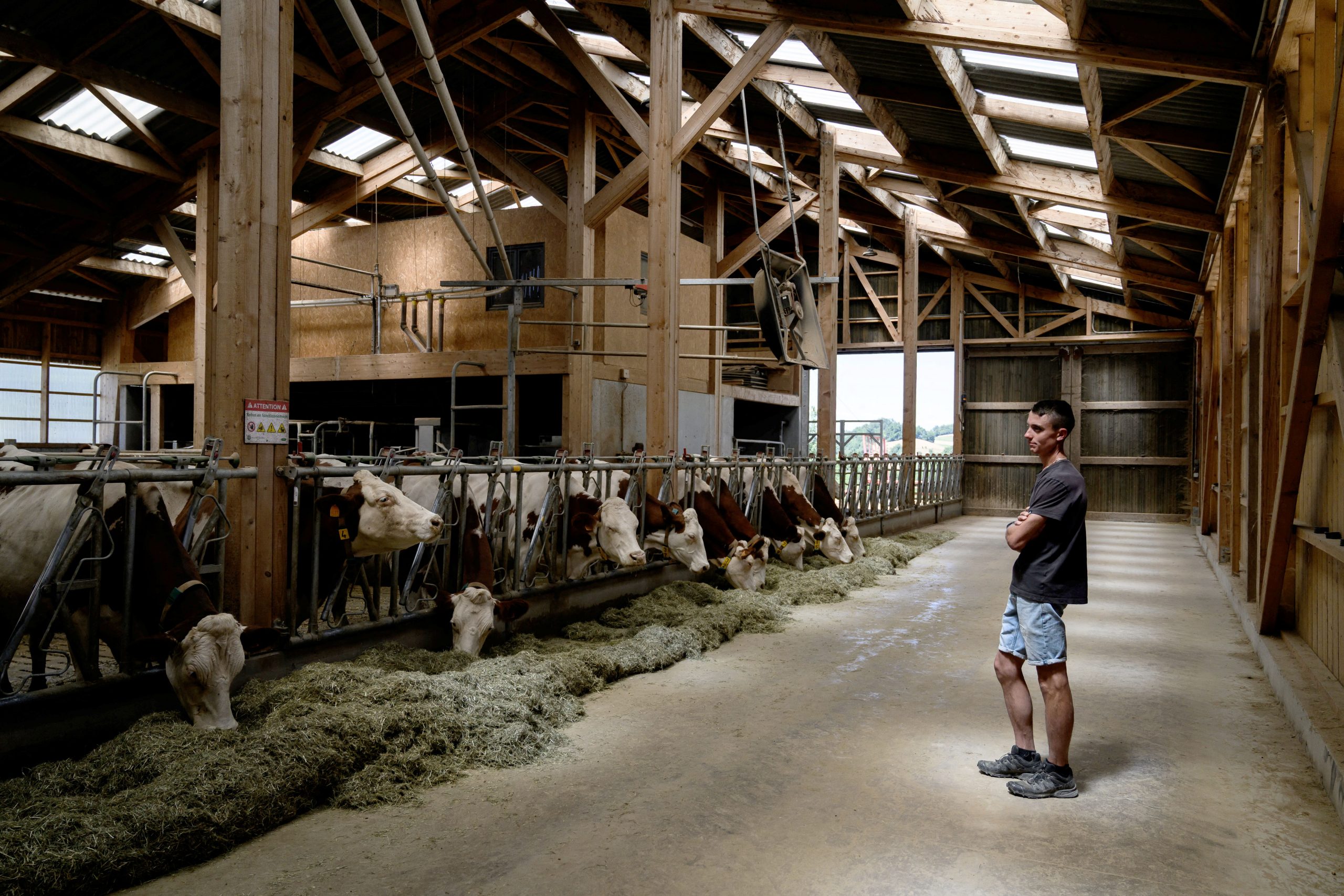 Epidémie de dermatose : en Savoie, 200 éleveurs se mobilisent pour éviter le «massacre» d’un troupeau entier de vaches