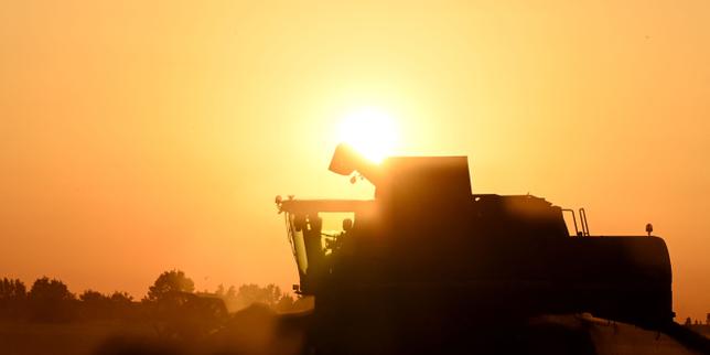 Canicules : pourquoi l’agriculture française doit se réinventer