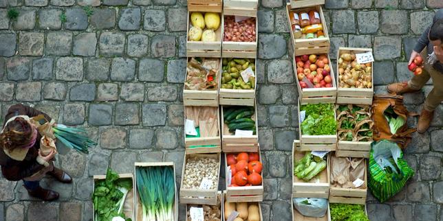 Les AMAP, ce lien alimentaire direct et solidaire entre citoyens et agriculteurs