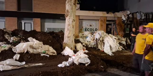 Loi Duplomb : des agriculteurs vandalisent les locaux des Ecologistes à Toulouse