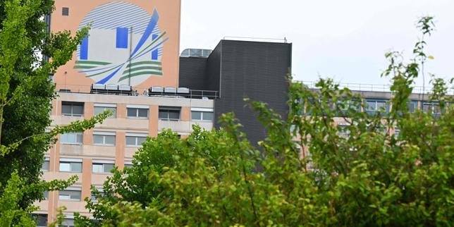 Intoxications dues à la bactérie « E.coli » dans l’Aisne : deux nouveaux cas chez des enfants