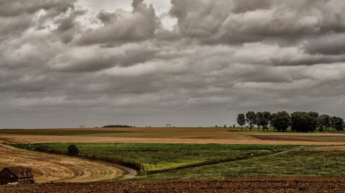 La production agricole française chute en volume et en valeur en 2024