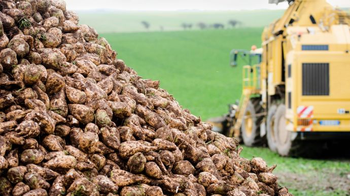 Importations de sucre ukrainien sans droits de douane : « 100 000 t, c’est trop ! »
