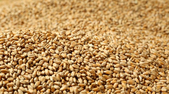 Les surfaces et la collecte de céréales bio françaises ont dégringolé