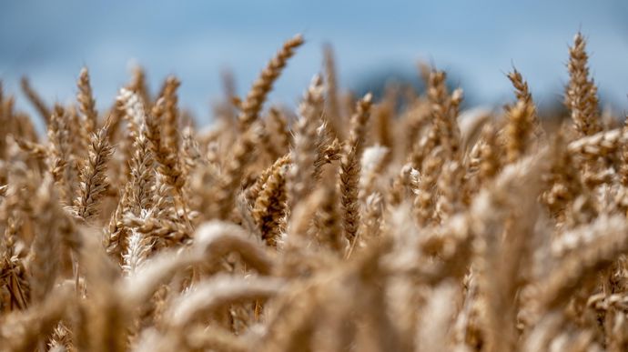 Comment construire son mélange variétal