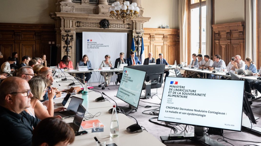 Dermatose nodulaire contagieuse bovine (DNC) : les acteurs du sanitaire approuvent la stratégie de lutte contre la DNC