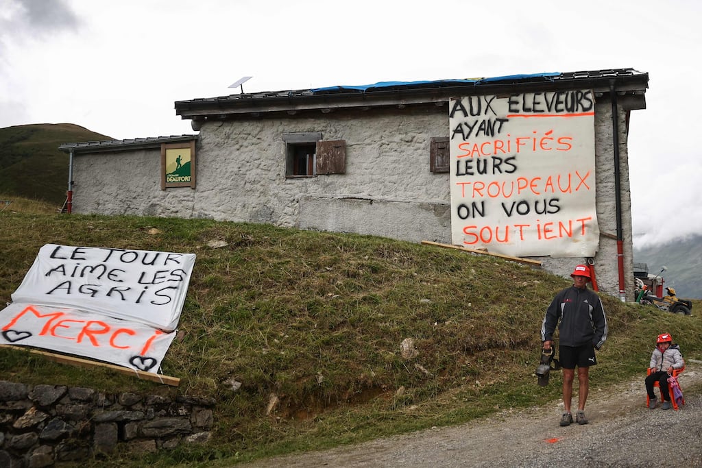 «Aujourd’hui c’est la fête et demain on abat le troupeau ?» : sur le Tour de France, des éleveurs «à cran» face à la dermatose nodulaire contagieuse