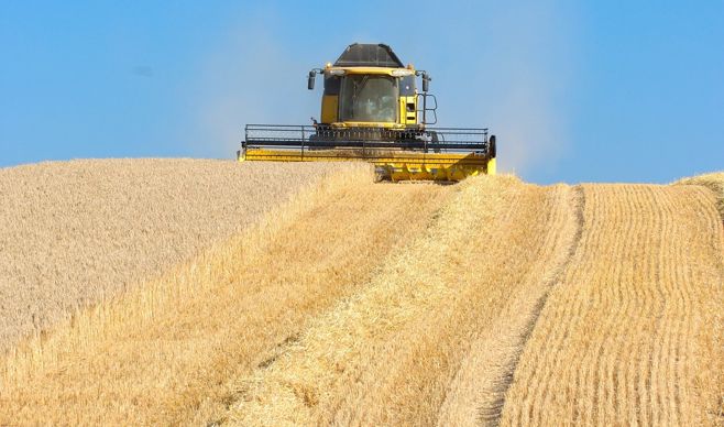Un rendement en orge d’hiver supérieur à 60 q/ha pour 7 agris sur 10