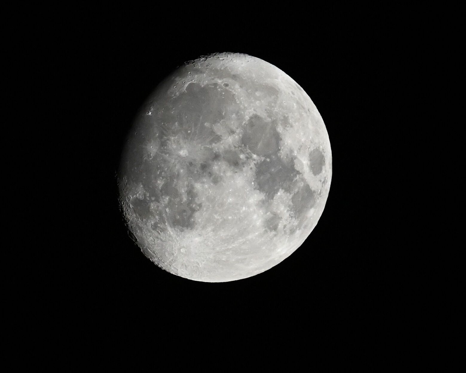 «Moon Rice» : ou comment des scientifiques italiens planchent sur du riz à cultiver sur la Lune