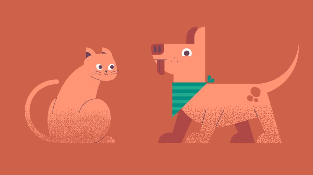 Campagne de sensibilisation à la protection des animaux de compagnie #StopAbandon : le kit de communication