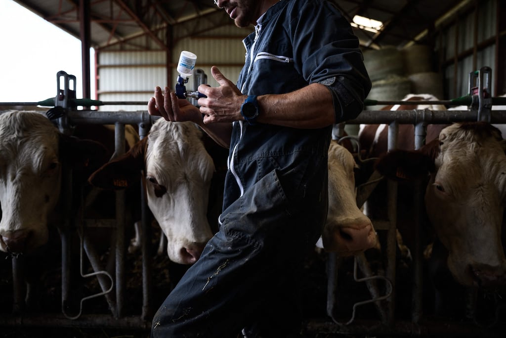 «Ici, tout le monde a peur» : en Savoie, la ministre de l’Agriculture soigne sa com auprès des éleveurs qui subissent la dermatose nodulaire contagieuse