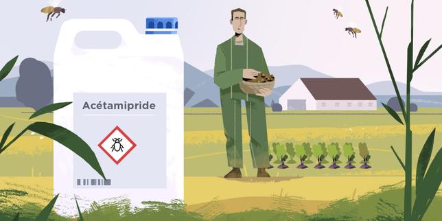 Pourquoi la loi Duplomb est-elle si controversée ? Comprendre en trois minutes