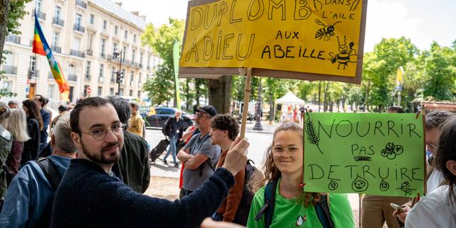 « La loi Duplomb ignore les liens entre agriculture, santé, climat et biodiversité »