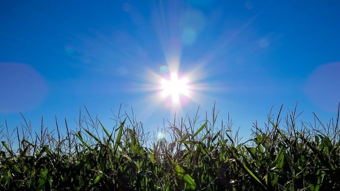 La canicule revient menacer les cultures françaises