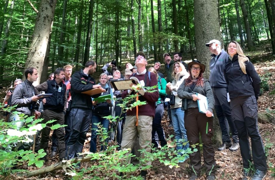 Panel européen d’experts du suivi des dommages forestiers des placettes du programme ICP Forest
