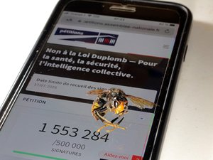 Risques de cancers, pertes de QI, troubles du langage… un médecin met en garde contre l’acétamipride, un insecticide interdit depuis 2018