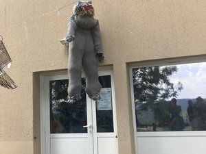 Urgence pour l’élevage en Lozère : le nombre d’attaques explose, la brigade loup reviendra cet été