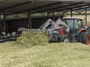 Le stage vire au drame : un adolescent de 16 ans meurt après avoir été percuté par la pelle d’un engin agricole