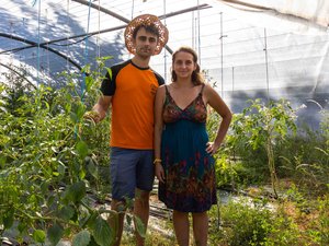Asimine, feijoa, poivre de Timut… Graines de Joa cultive l’exotisme dans le Sud-Aveyron