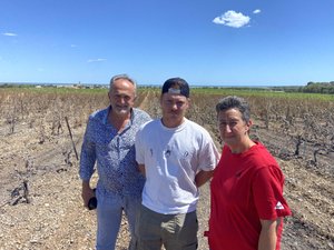 « Cette année va être difficile » : dans l’incendie de la Gardiole, ce jeune viticulteur a perdu 4, 5 hectares de vignes plantées par sa famille en 1999