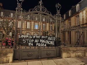 « Objectif zéro attaque » : des banderoles contre le loup ont fait leur apparition dans la nuit