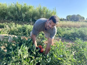 « Il ne faudrait pas que ça dure tout l’été » : les chaleurs caniculaires impactent l’activité des maraîchers comme au Jardin des Pélicans à Loupian
