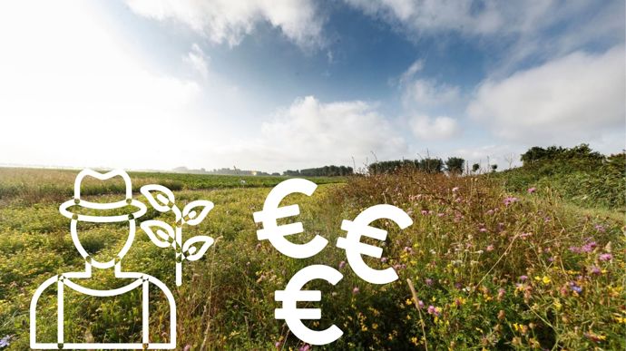Qu’est-ce que le paiement pour service environnemental ?