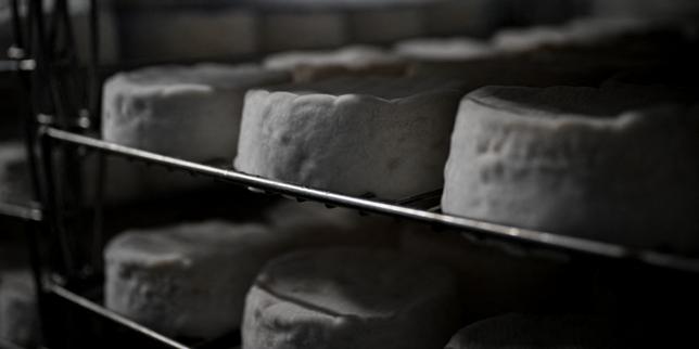 Lots de fromages rappelés : un « lien possible » avec 21 cas de listériose dont deux morts, selon le gouvernement