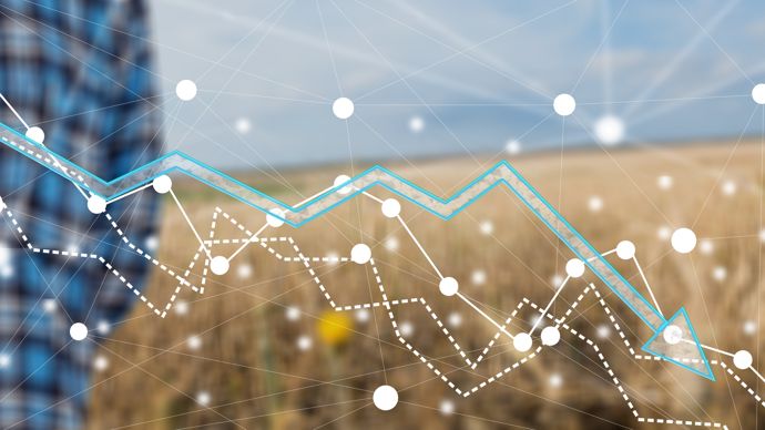 Les prix mondiaux des céréales toujours lestés par le maïs américain