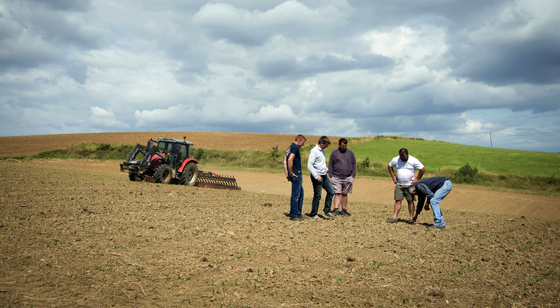 Le réseau DEPHY : partout en France, des systèmes de production performants et économes en pesticides