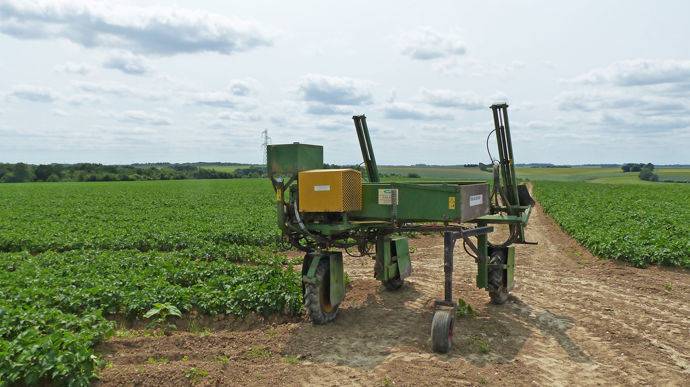 Plants de pommes de terre : des métiers de passion