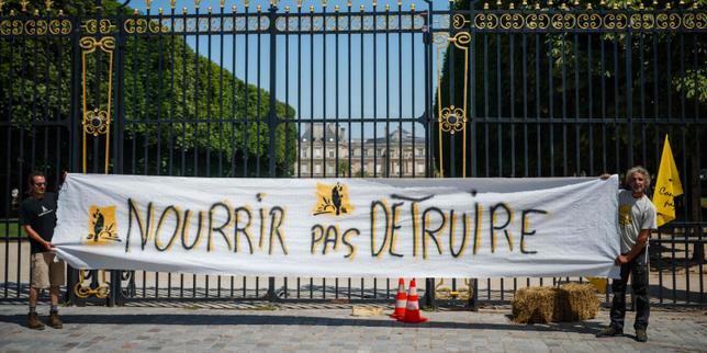 Loi Duplomb : le Conseil constitutionnel censure les dispositions autorisant la réintroduction de l’acétamipride