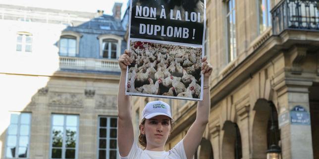 Loi Duplomb : Emmanuel Macron promulgue le texte après la censure partielle du Conseil constitutionnel